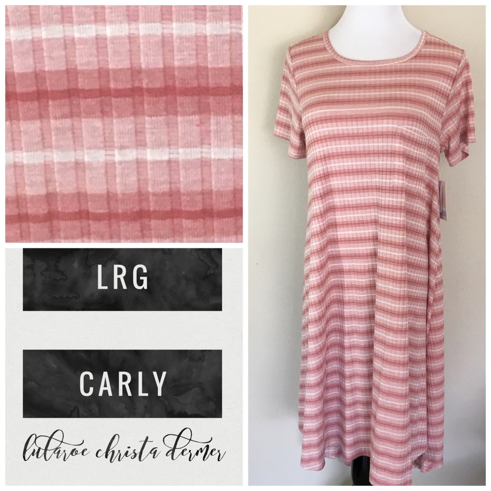 NWT Lularoe Carly Dress